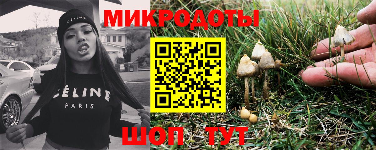 наркотики  Вход с VPN  Псилоцибиновые грибы Psilocybe  Ставрополь  Галлюциногенные грибы мицелий 