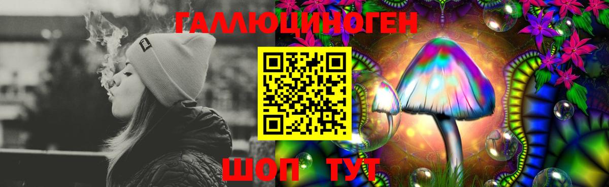 Галлюциногенные грибы прущие грибы Ставрополь